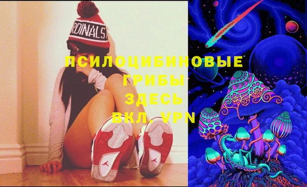 бошки Абаза