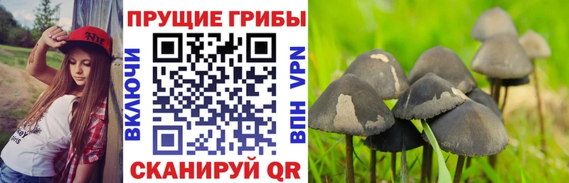 Галлюциногенные грибы ЛСД  Верхоянск 